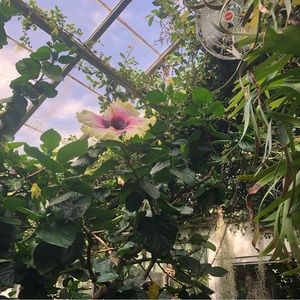 Meet your Posher, Miriam